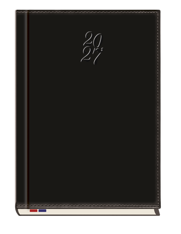 T-249N-59 Terminarz Asesor