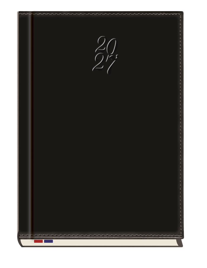 T-249N-59 Terminarz Asesor