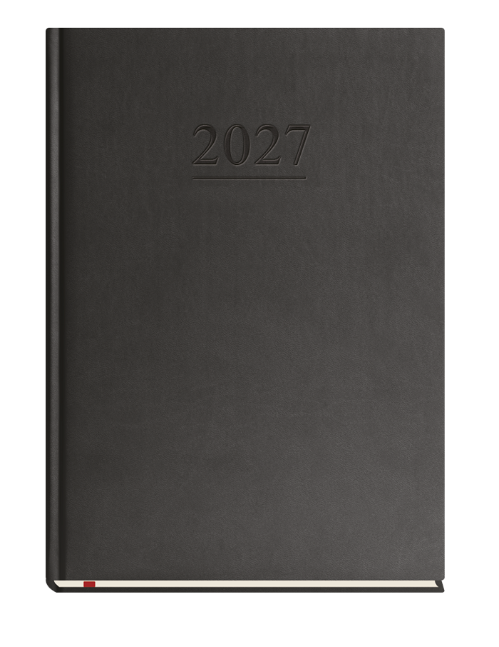 T-218V-V Terminarz Uniwersalny