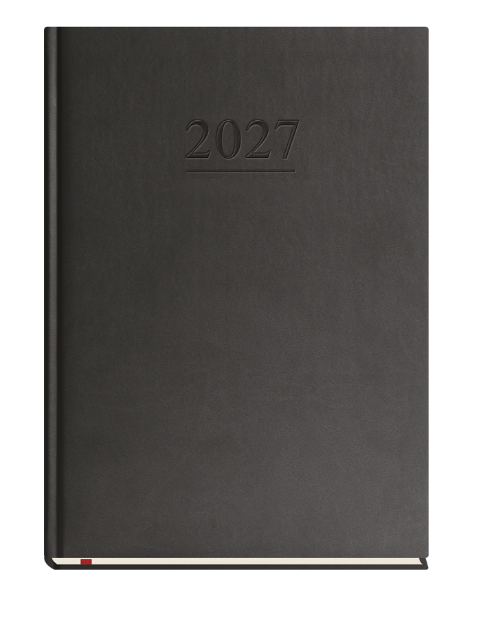 T-221V-V Terminarz Klasyczny