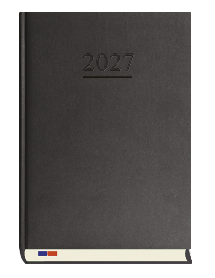T-229V-V Terminarz Stacjonarny