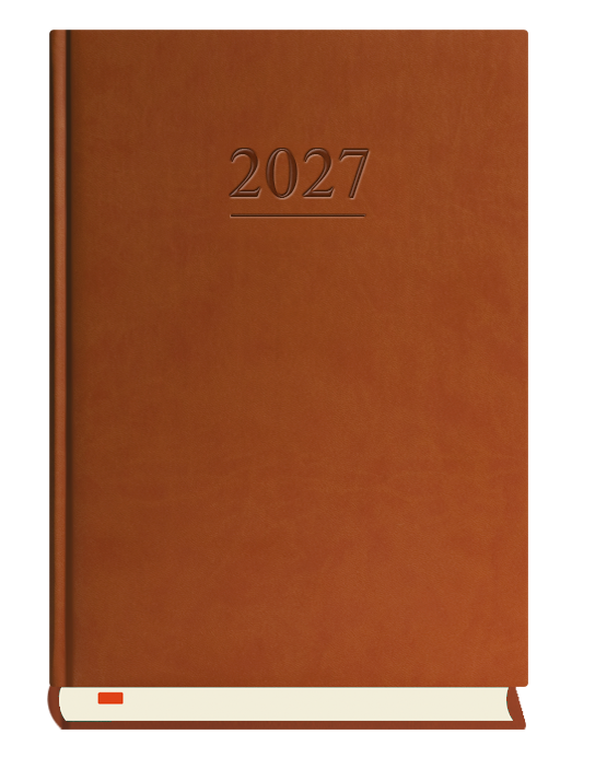 T-203V-S2 Terminarz Menadżera