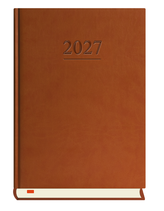 T-203V-S2 Terminarz Menadżera