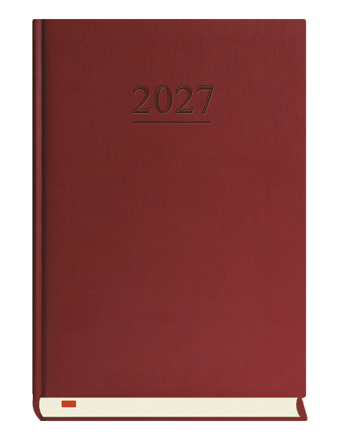 T-203V-B Terminarz Menadżera