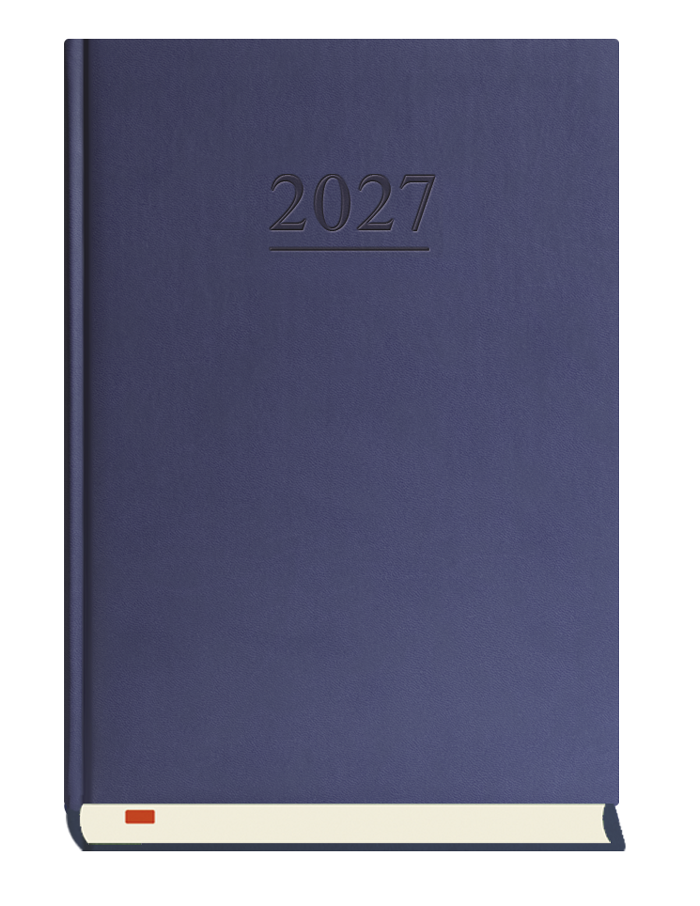 T-203V-G Terminarz Menadżera
