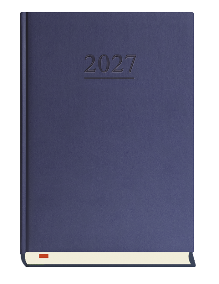 T-203V-G Terminarz Menadżera