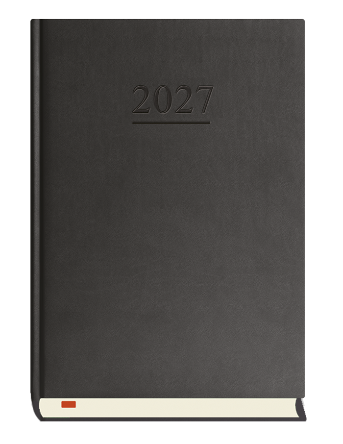 T-203V-V Terminarz Menadżera