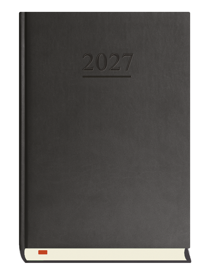 T-203V-V Terminarz Menadżera