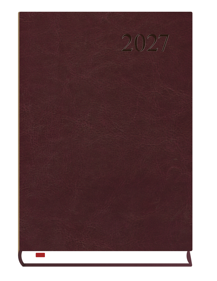 T-237A-S2 Terminarz Asystent