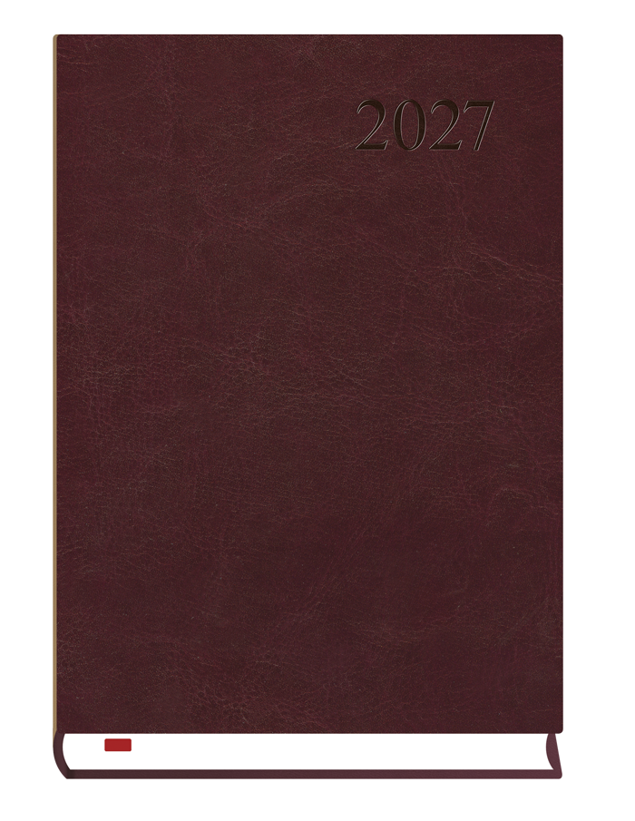 T-237A-S2 Terminarz Asystent
