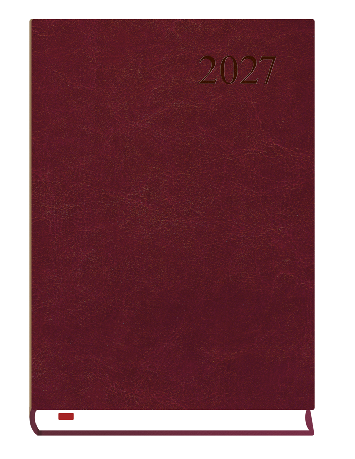 T-237A-B Terminarz Asystent