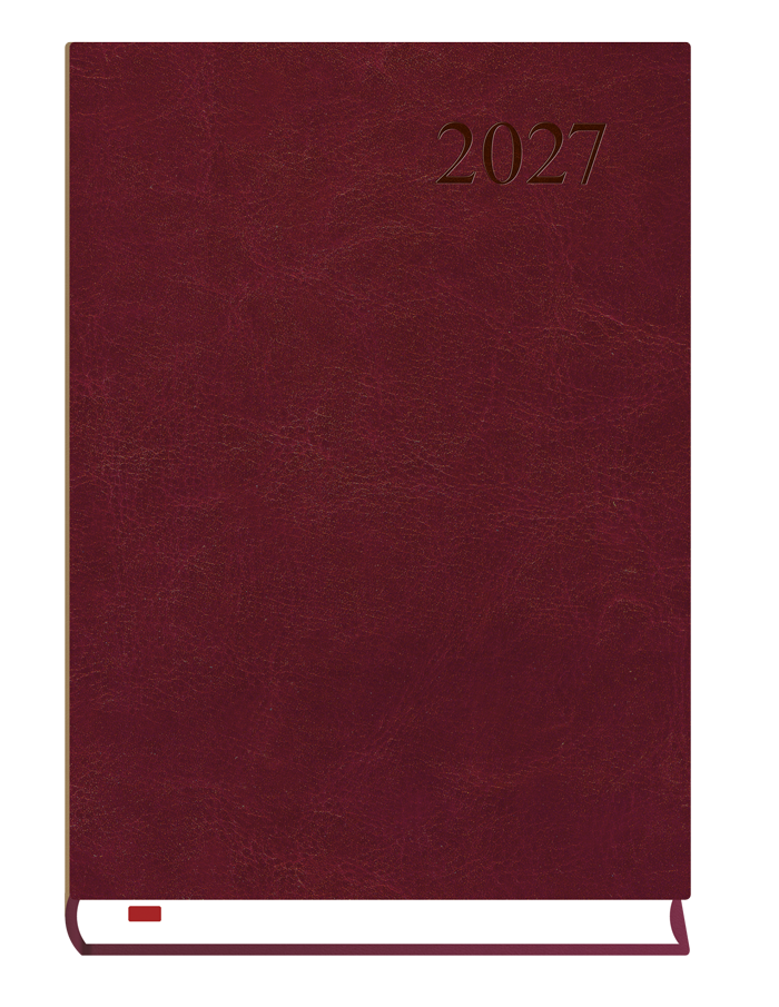 T-237A-B Terminarz Asystent