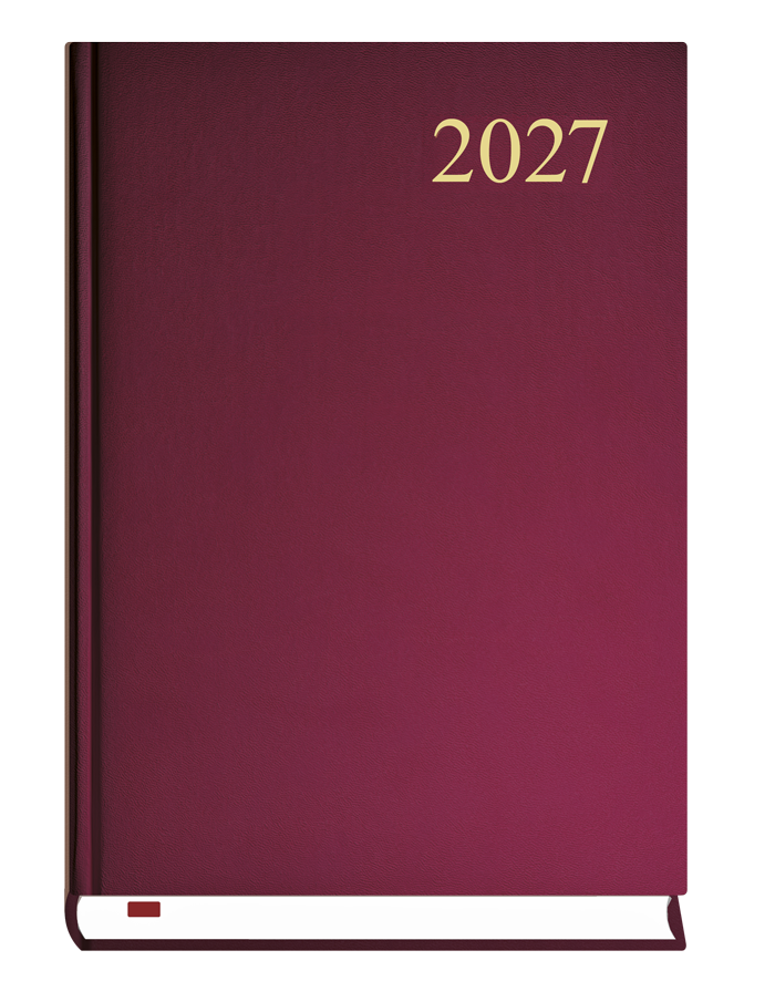 T-237C-B Terminarz Asystent