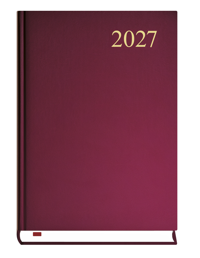 T-237C-B Terminarz Asystent