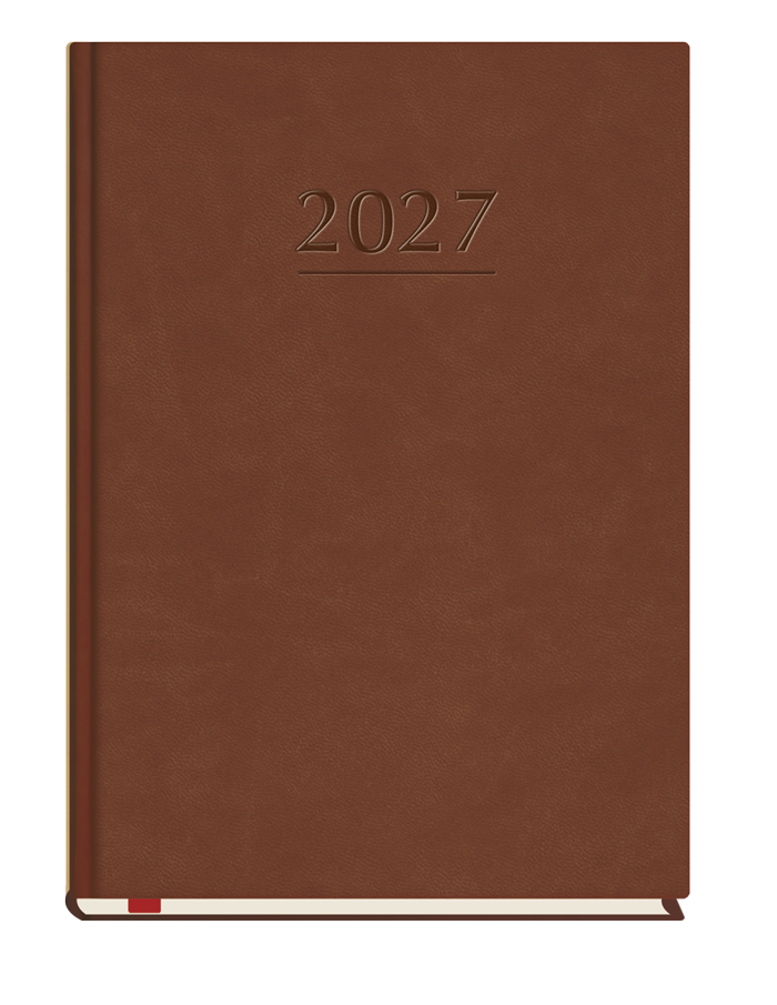 T-209V-S2 Terminarz Popularny
