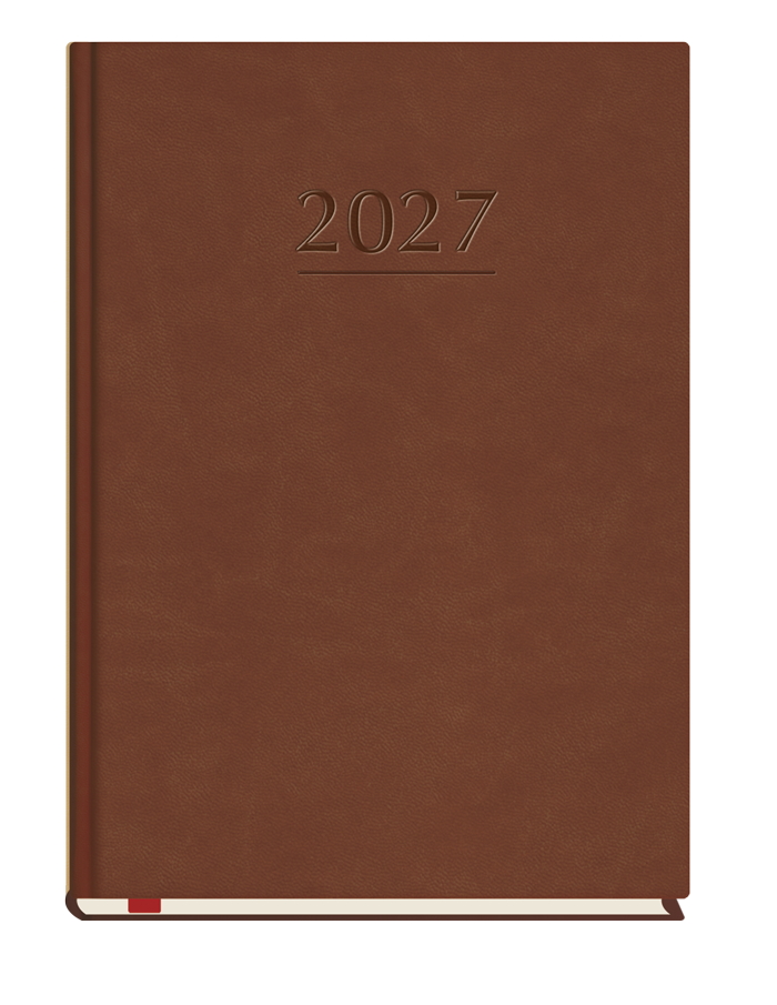 T-209V-S2 Terminarz Popularny