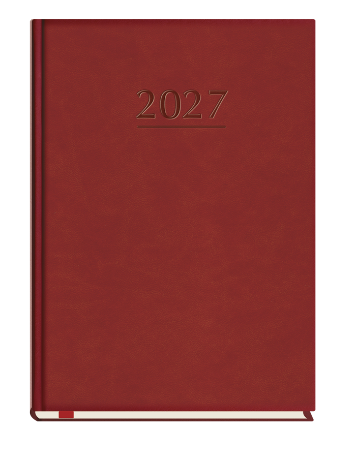 T-209V-B Terminarz Popularny