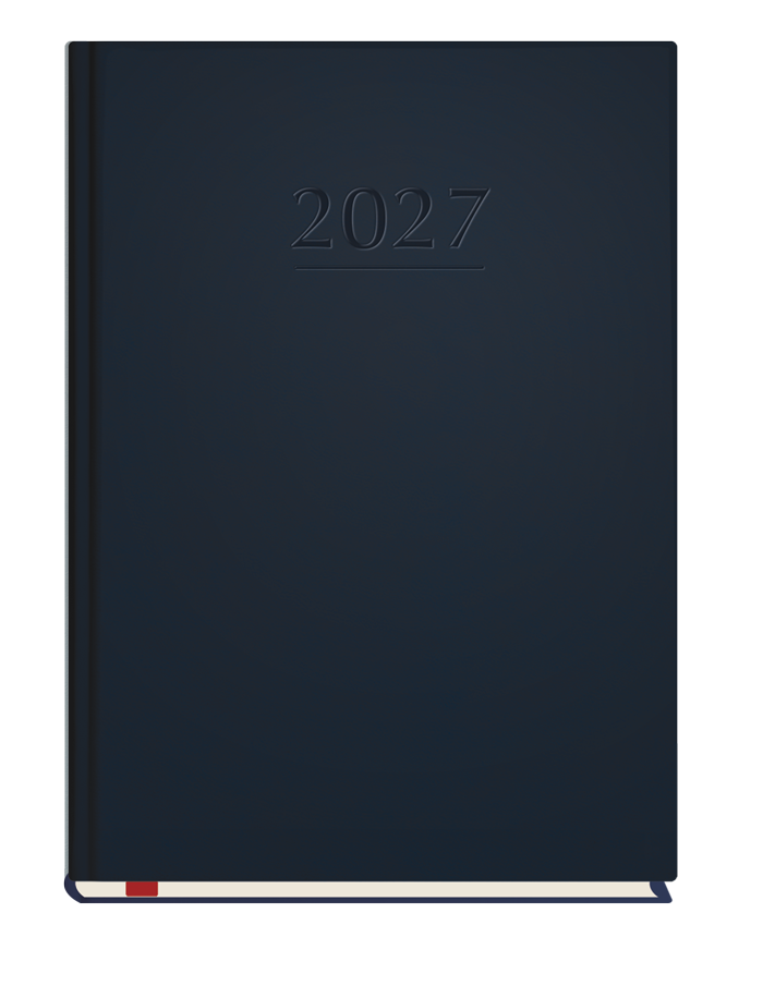 T-209V-G Terminarz Popularny