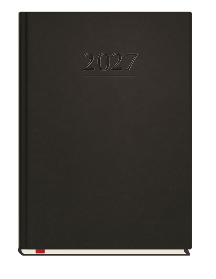 T-209V-V Terminarz Popularny