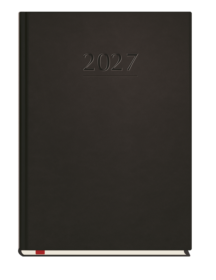 T-209V-V Terminarz Popularny
