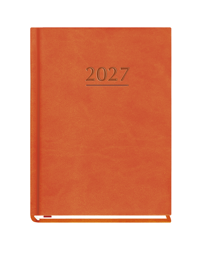 T-212V-P Terminarz Ola