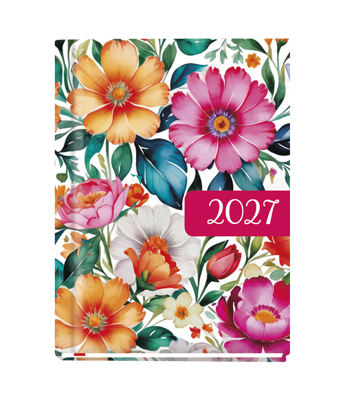 T-212F-02 Terminarz Ola